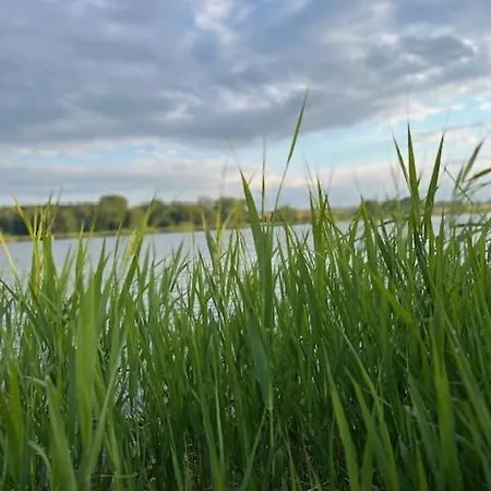Ved Holckenhavn Fjord